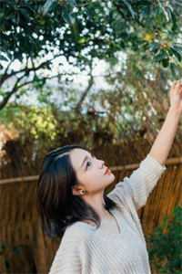 请给我一封断亲书小说结局