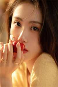 月下苏幕遮连载