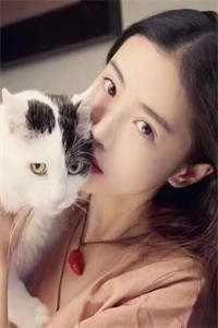 五岁萌宝：开局带失忆娘找司令爹后续