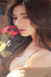 江枫渔火对愁眠后续