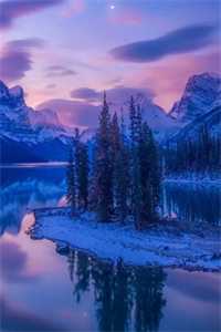 老公假死三年，我带着儿子嫁人乐乐小林后续+完结