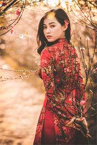 夏末才觉春已迟异常火爆