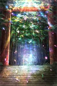 闪婚禁欲上司，人前斯文人后猛亲高质量好文