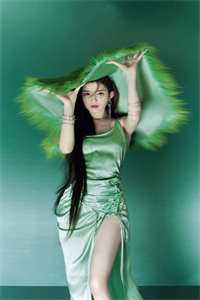 晚星陨落再无夏的小说