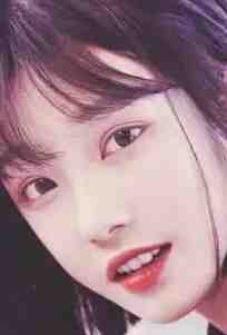 强制沦陷：跨国大佬的独家禁宠热门小说