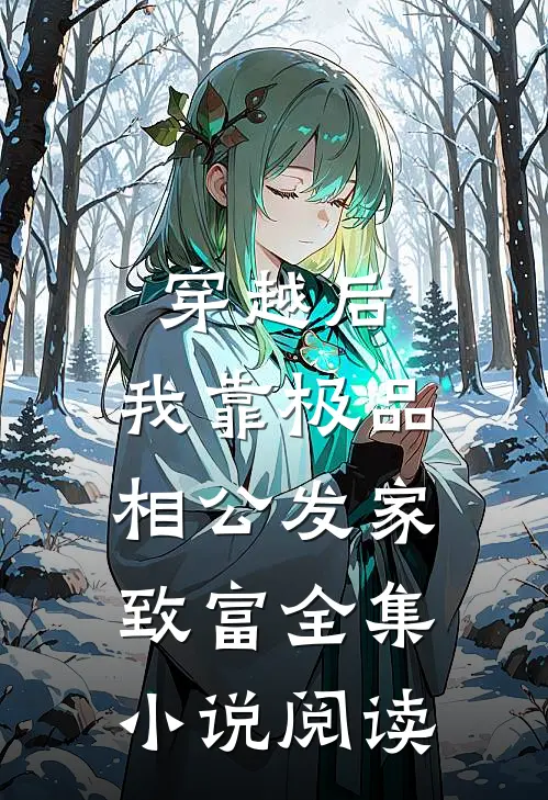 穿越后，我靠极品相公发家致富全集小说阅读