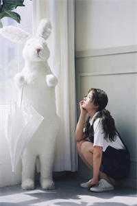 怜星难照无眠全新