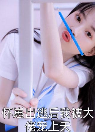 暗香月影绘流年大结局