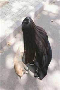 指挥老公让我原地死守后，他悔疯了阅读