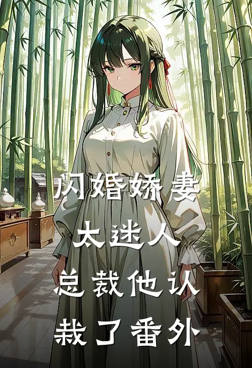 闪婚娇妻太迷人总裁他认栽了 番外