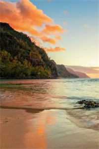 法医妻子为实习生做伪证，我转身反杀！霍昭昭杨毅全文