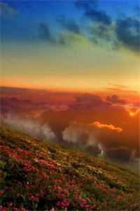 春庭雪落离人苑全文+后续