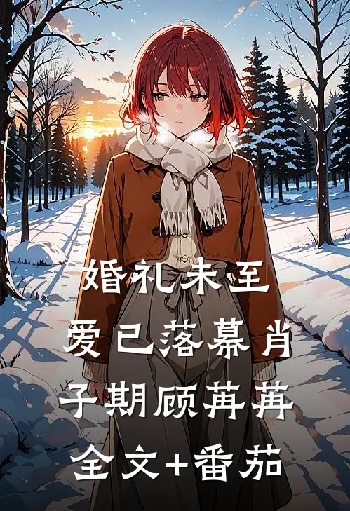婚礼未至，爱已落幕肖子期顾苒苒全文+番茄