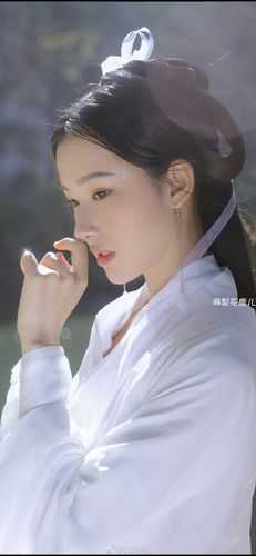 一念风止，一晌贪欢无弹窗