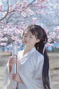 星辰满目皆成空完结版