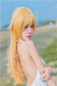 晚风赠别离章节