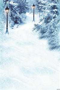 另择他婿后，首辅日夜忙追妻无删减+无广告