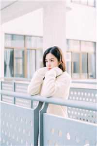 潮起汐落无归路全文免费