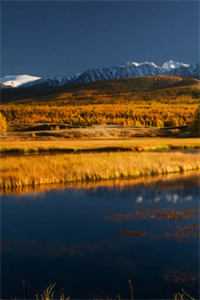 霉运统统退散，我的人生直接开挂全文+番外