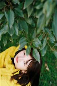 白露枝头复往春精品篇