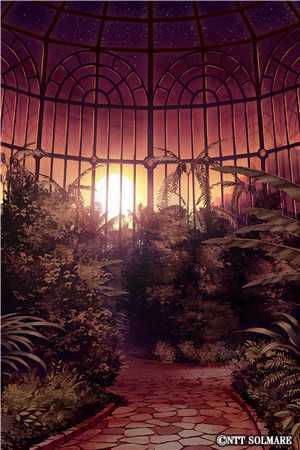 朝花夕落旧时景爆火全网