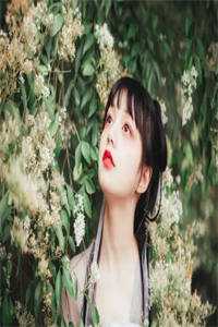 你是我的未完成前言+后续