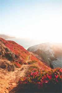 都没有你谎言动听无删减