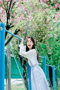 星河尽染映江南的小说