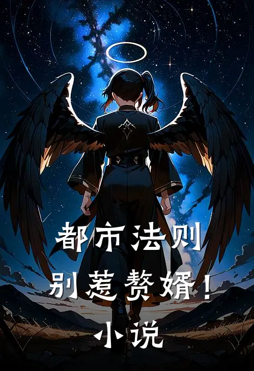 都市法则：别惹赘婿！小说
