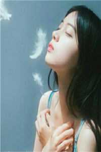 情字落幕，了无来生最新