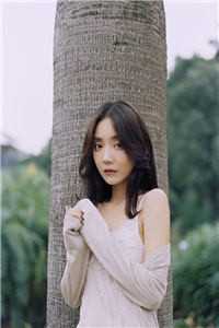 月明星稀赵景辉沈听岚全局