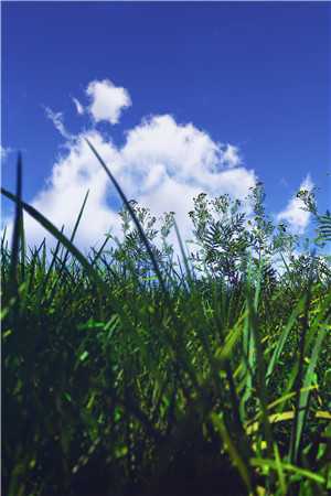 惹上那位爷，我才知道什么叫绝路林朵朵沈衡小说