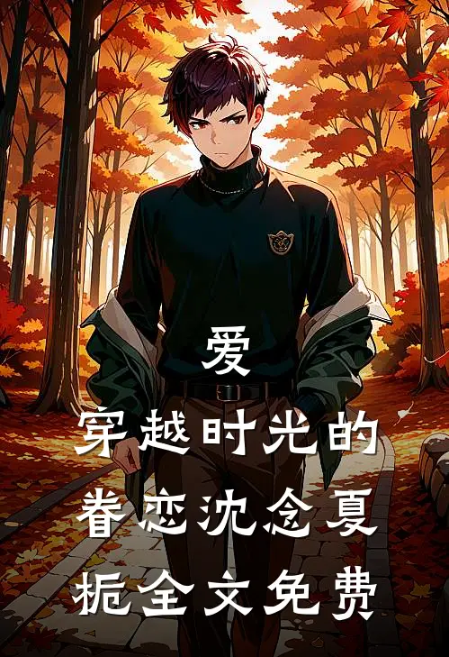 爱,穿越时光的眷恋沈念夏栀全文免费阅读