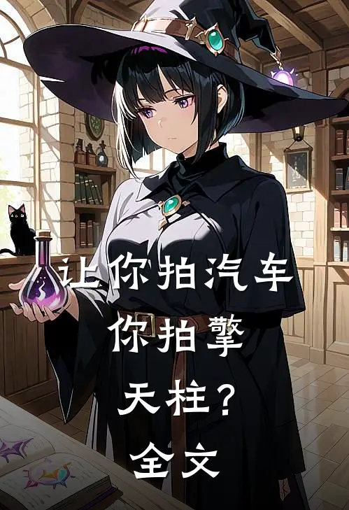 让你拍汽车,你拍擎天柱?全文在线阅读