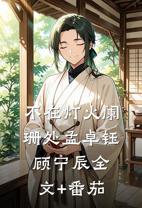 不在灯火阑珊处孟卓钰顾宁辰全文+番茄