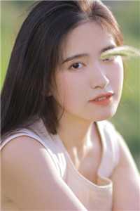 愿我如尘埃，从此不入你眼已完结版