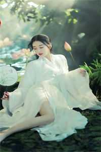 岁岁与枝同小说畅读