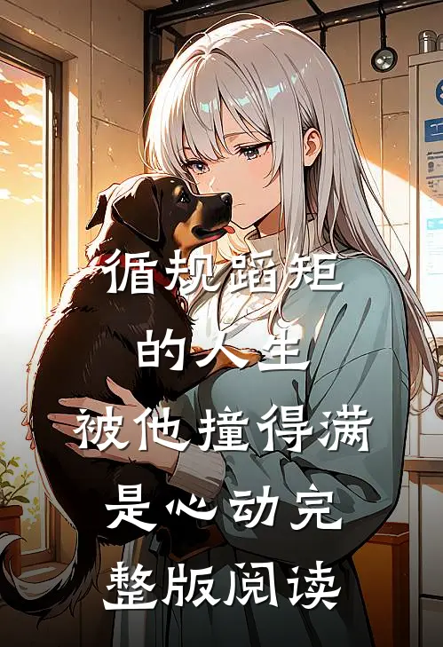 循规蹈矩的人生，被他撞得满是心动完整版阅读