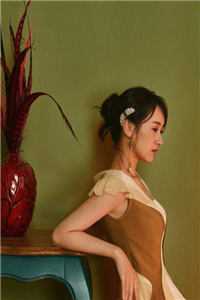 忽闻秋风起，送君永不归全篇