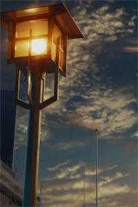 我在盛夏等一场初雪小说全文免费