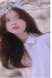 半盏花灯枕明月热门