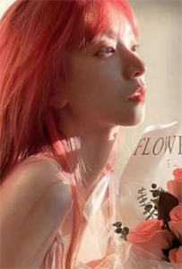 爱已随夕阳落幕火爆小说