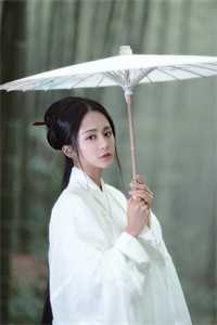 七年雪落，爱已成空列表