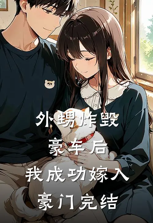 外甥炸毁豪车后,我成功嫁入豪门完结