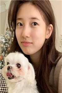 青灯掌旧颜爆款热文