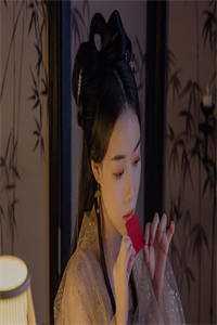 深情背后的谎言萧辰林月大结局