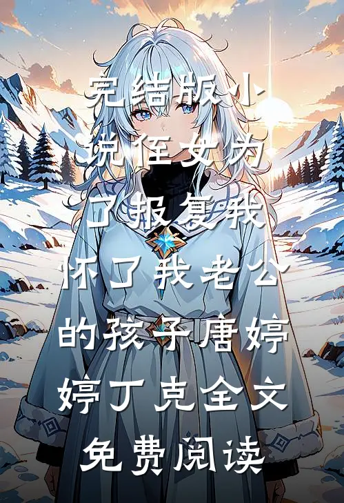 完结版小说侄女为了报复我，怀了我老公的孩子唐婷婷丁克全文免费阅读