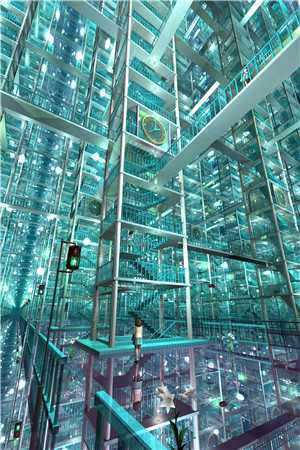 上司在救护车上沿途拍照耽误40分钟，得知真相后她悔疯了爆火全网