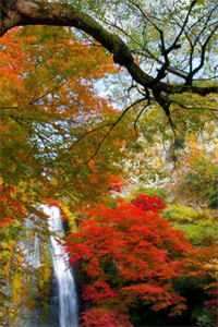 拒当保姆，老太重生拿回百亿资产热门推荐