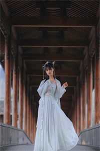 星垂平野独自明章节